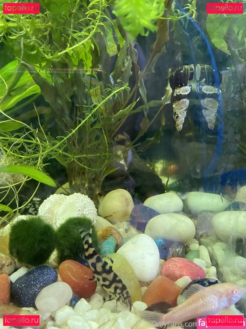 buffbandittfree Onlyfans Photo Gallery 