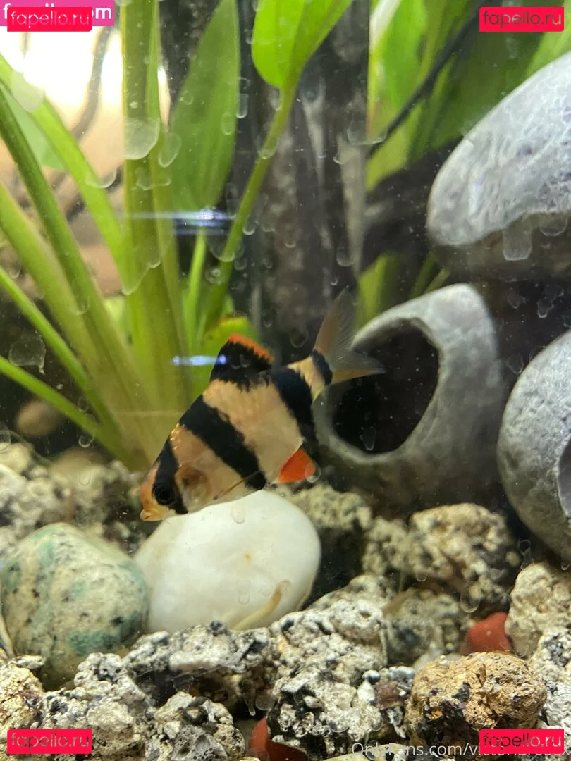 buffbandittfree Onlyfans Photo Gallery 