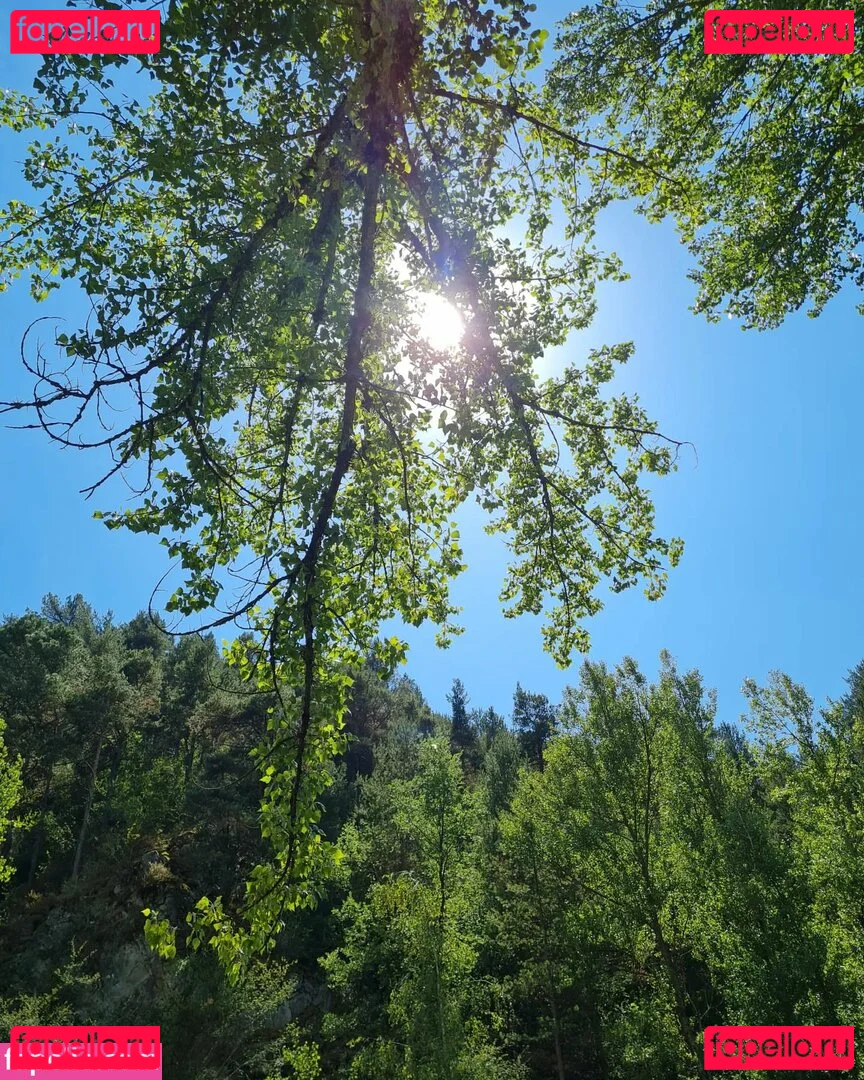 Ann Cygnus Onlyfans Photo Gallery 