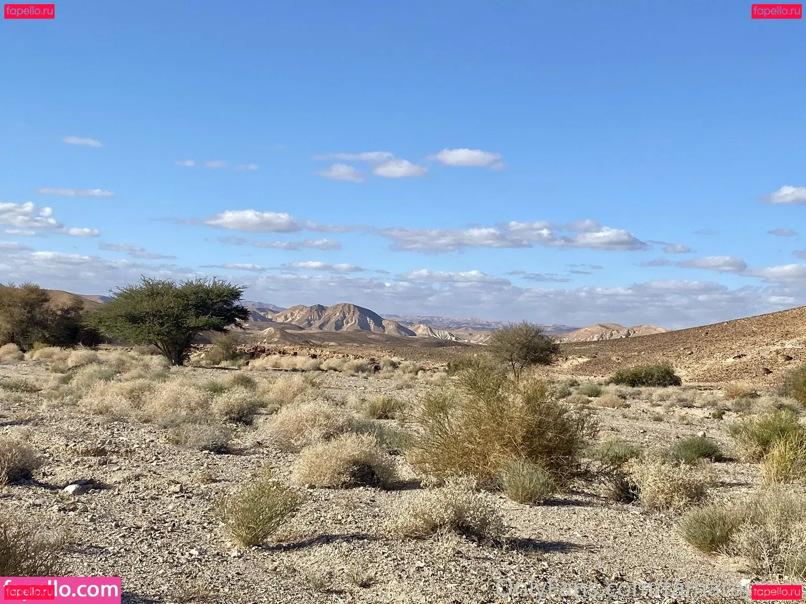 Tamara Grace Onlyfans Photo Gallery 