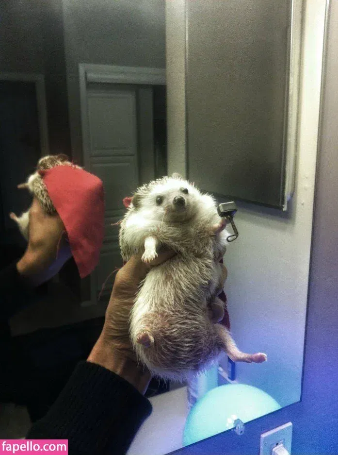 Vasilielcosplay Onlyfans Photo Gallery 