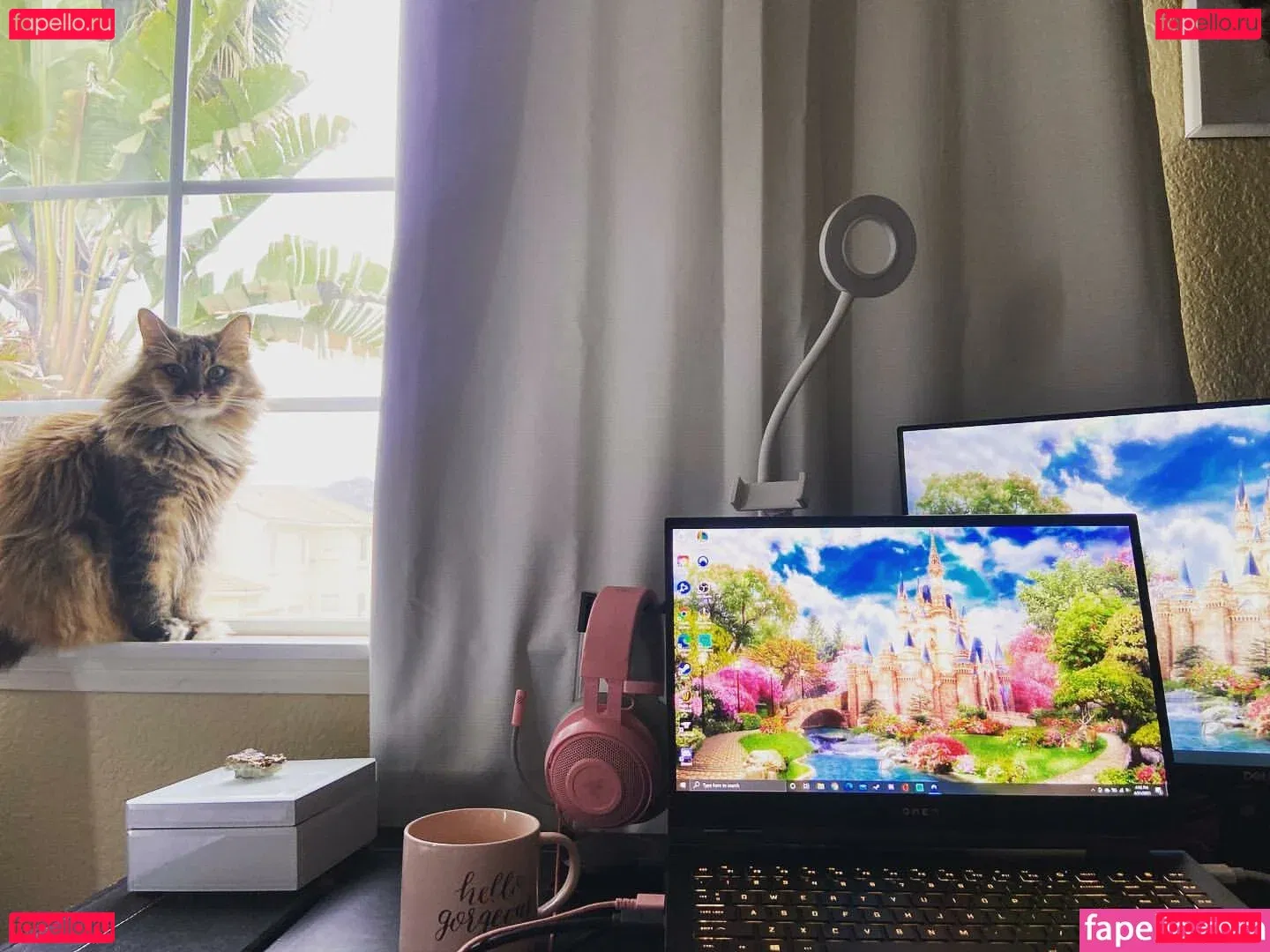 candii.kayn Onlyfans Photo Gallery 