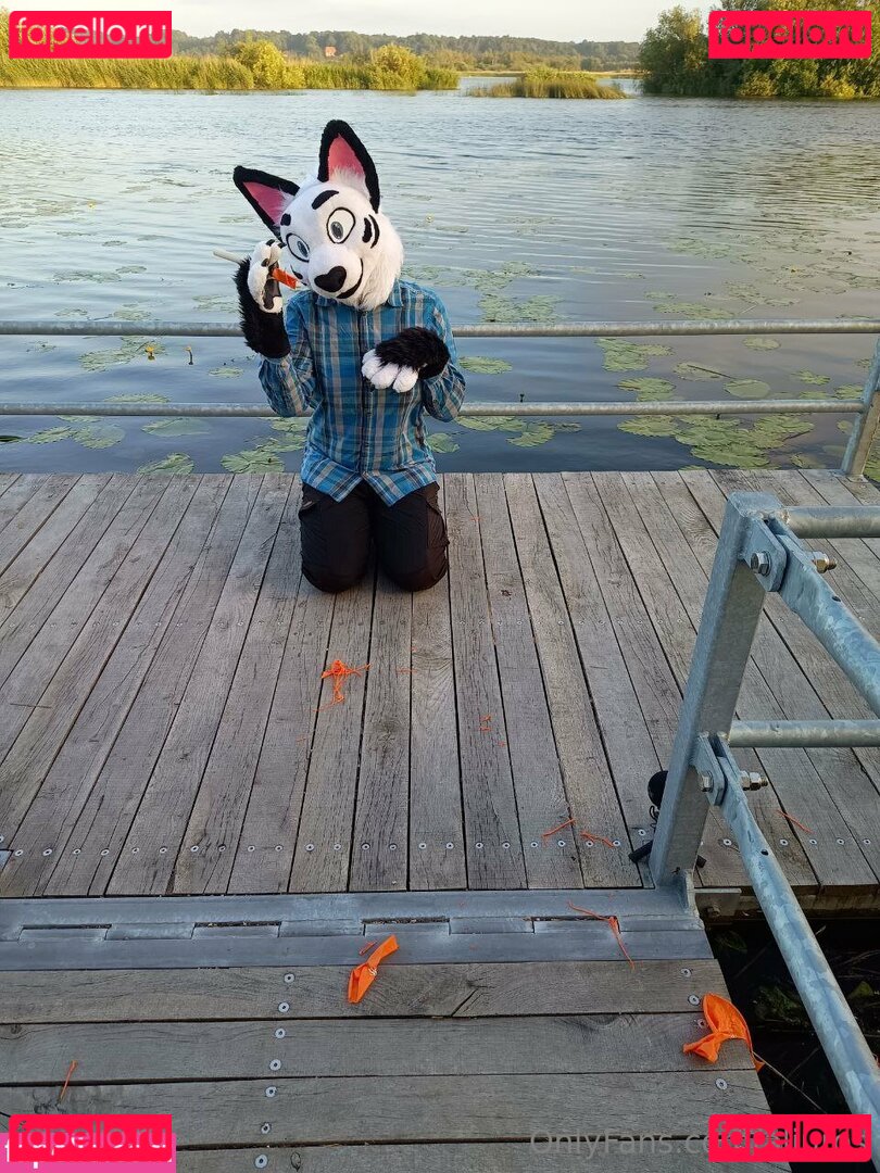 ailurosvt / aliuros Onlyfans Photo Gallery 