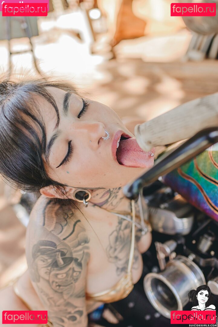 Maciel / metalflake Onlyfans Photo Gallery 