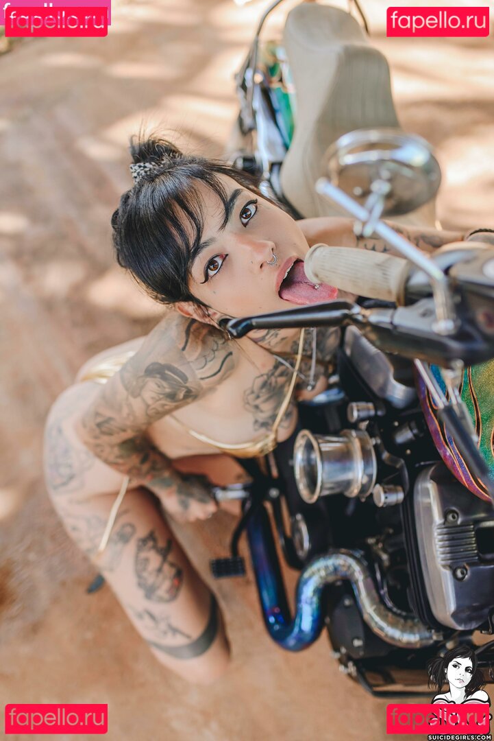 Maciel / metalflake Onlyfans Photo Gallery 