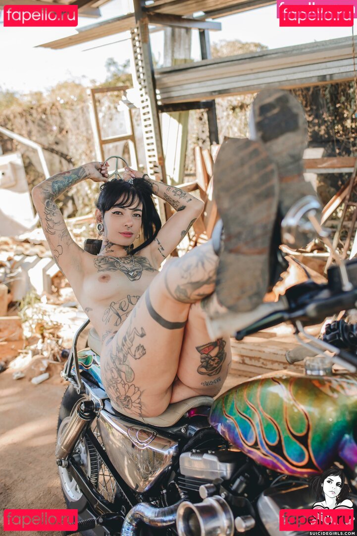 Maciel / metalflake Onlyfans Photo Gallery 