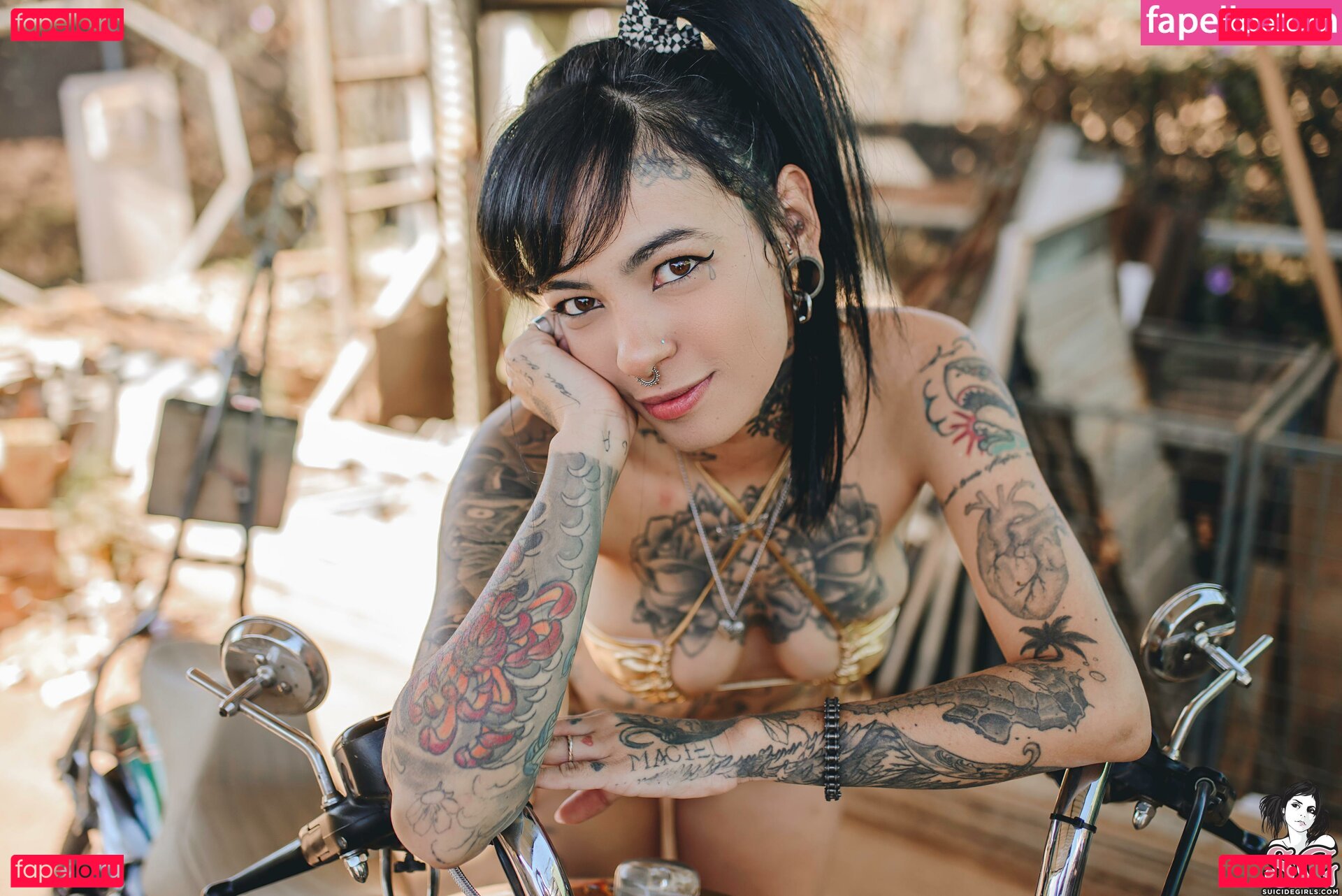 Maciel / metalflake Onlyfans Photo Gallery 