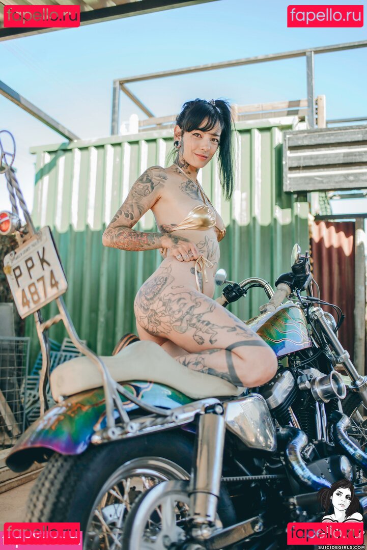 Maciel / metalflake Onlyfans Photo Gallery 