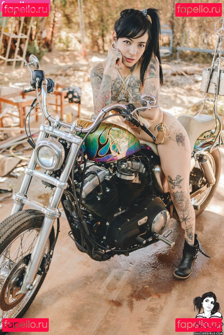 Maciel / metalflake Onlyfans Photo Gallery 