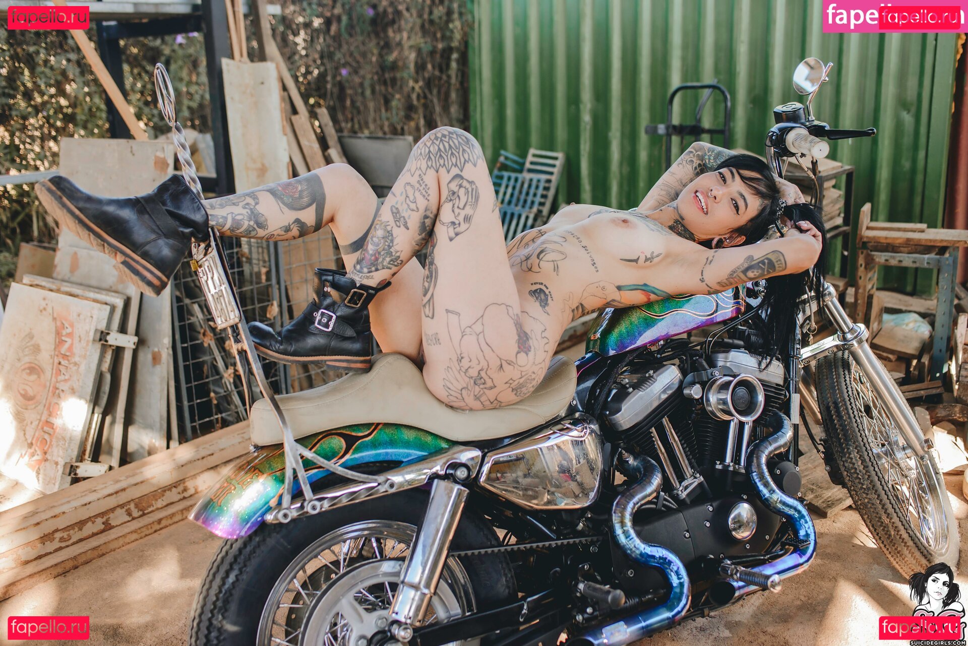 Maciel / metalflake Onlyfans Photo Gallery 