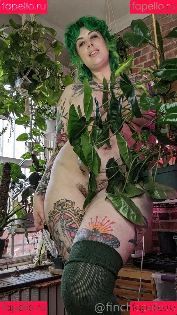 finchgallows Onlyfans Photo Gallery 