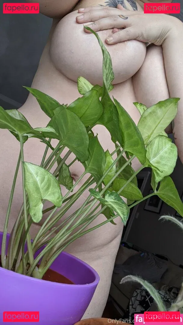 finchgallows Onlyfans Photo Gallery 