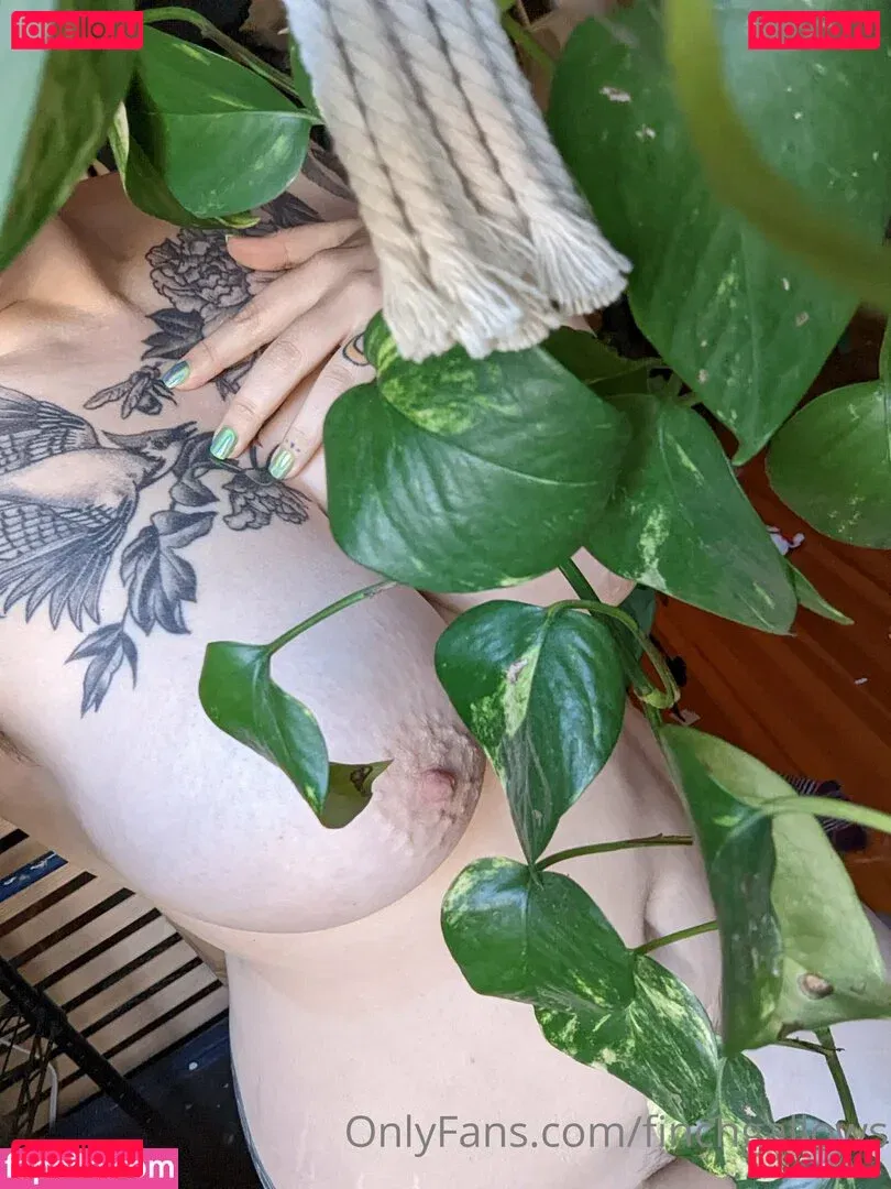 finchgallows Onlyfans Photo Gallery 