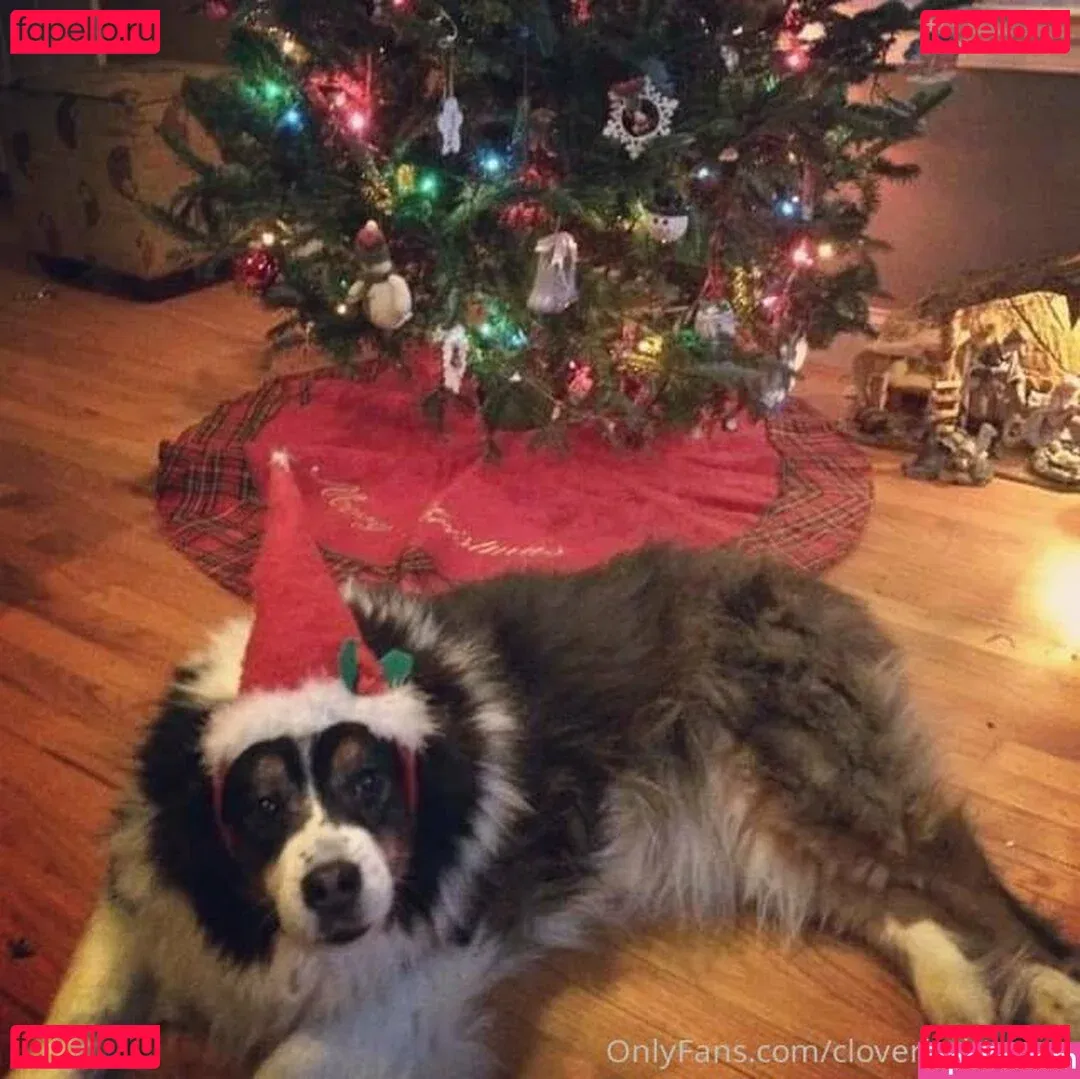 cloverbaltimore Onlyfans Photo Gallery 