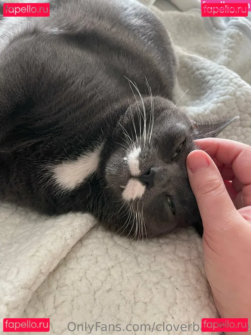 cloverbaltimore Onlyfans Photo Gallery 