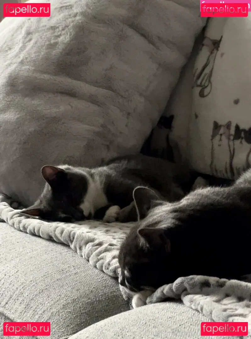 cloverbaltimore Onlyfans Photo Gallery 