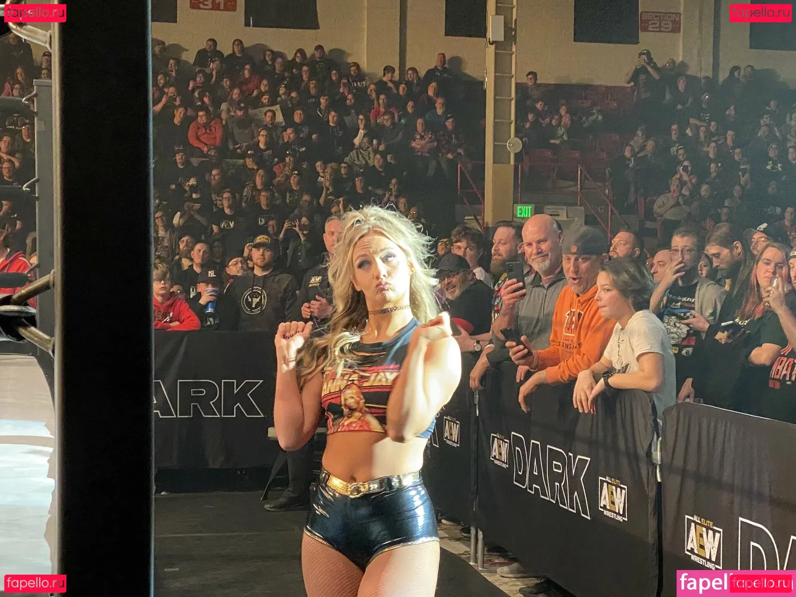 Anna Jay Onlyfans Photo Gallery 