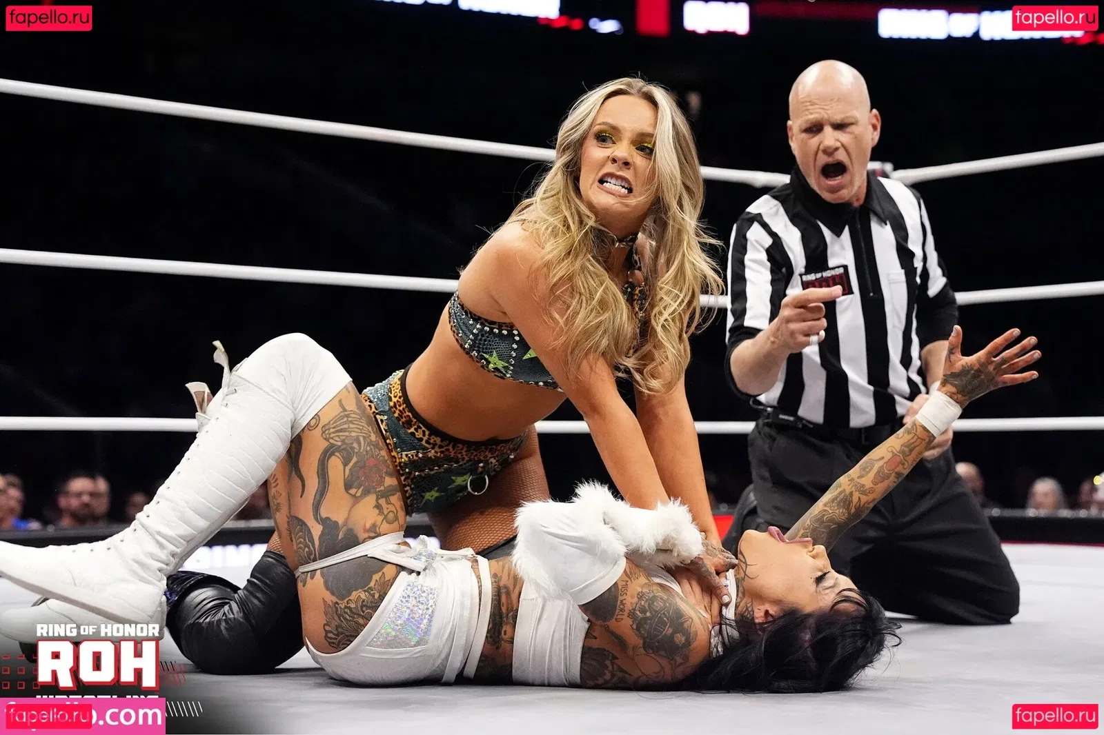 Anna Jay Onlyfans Photo Gallery 