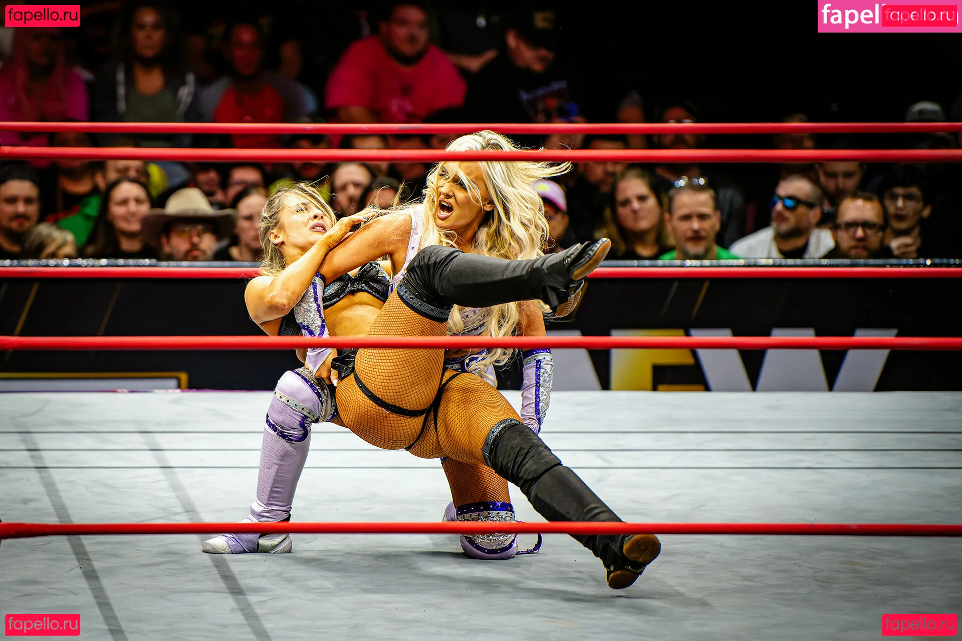 Anna Jay Onlyfans Photo Gallery 