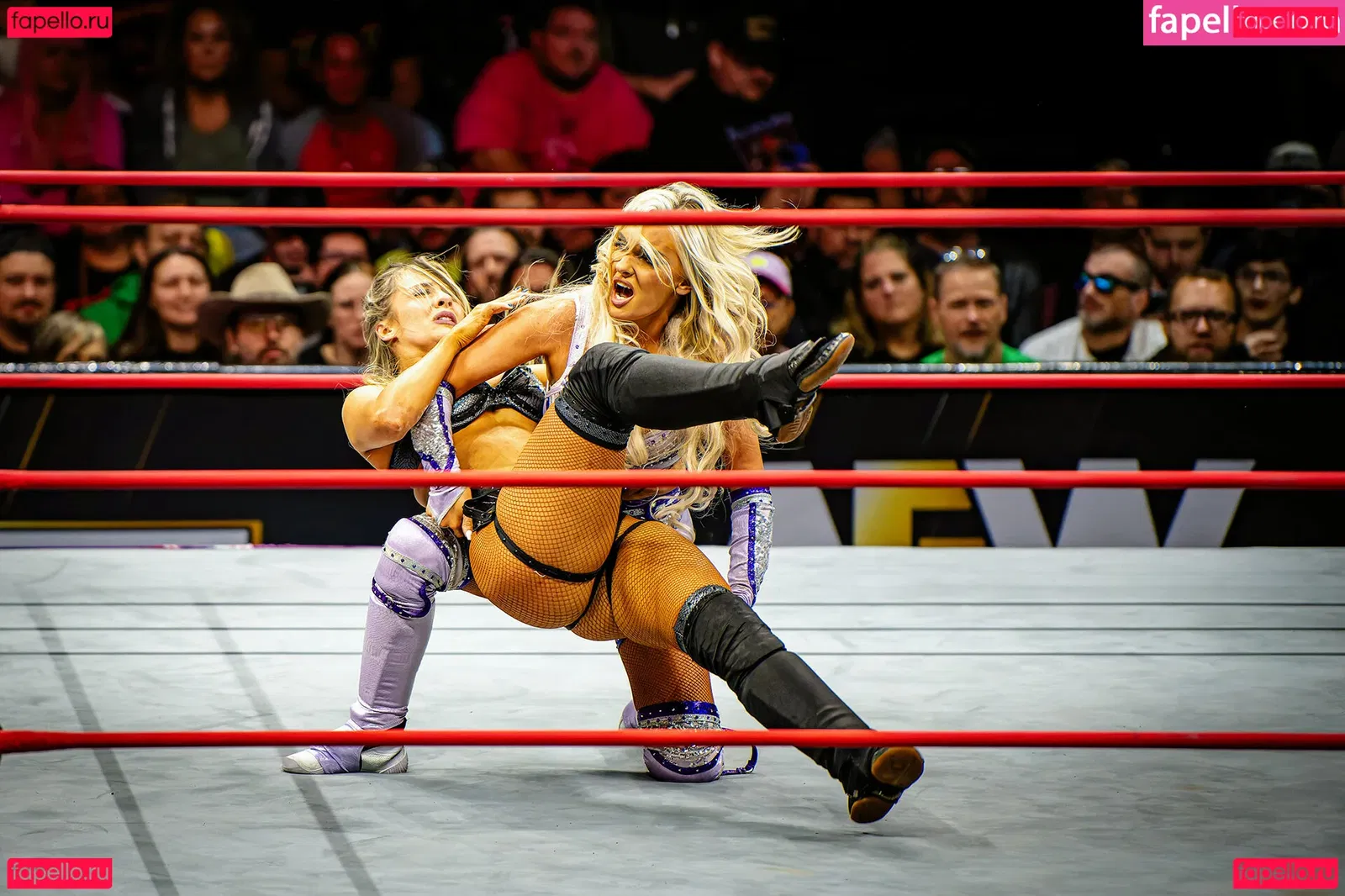 Anna Jay Onlyfans Photo Gallery 