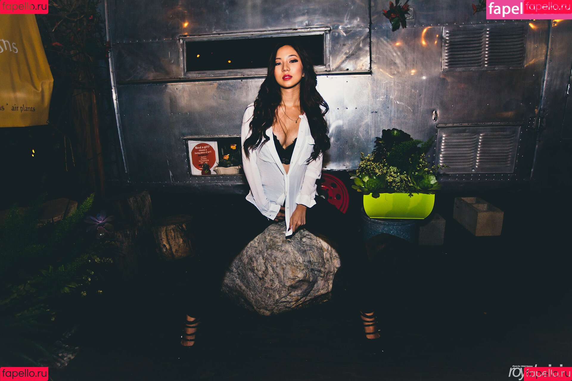 Sara Choi Onlyfans Photo Gallery 