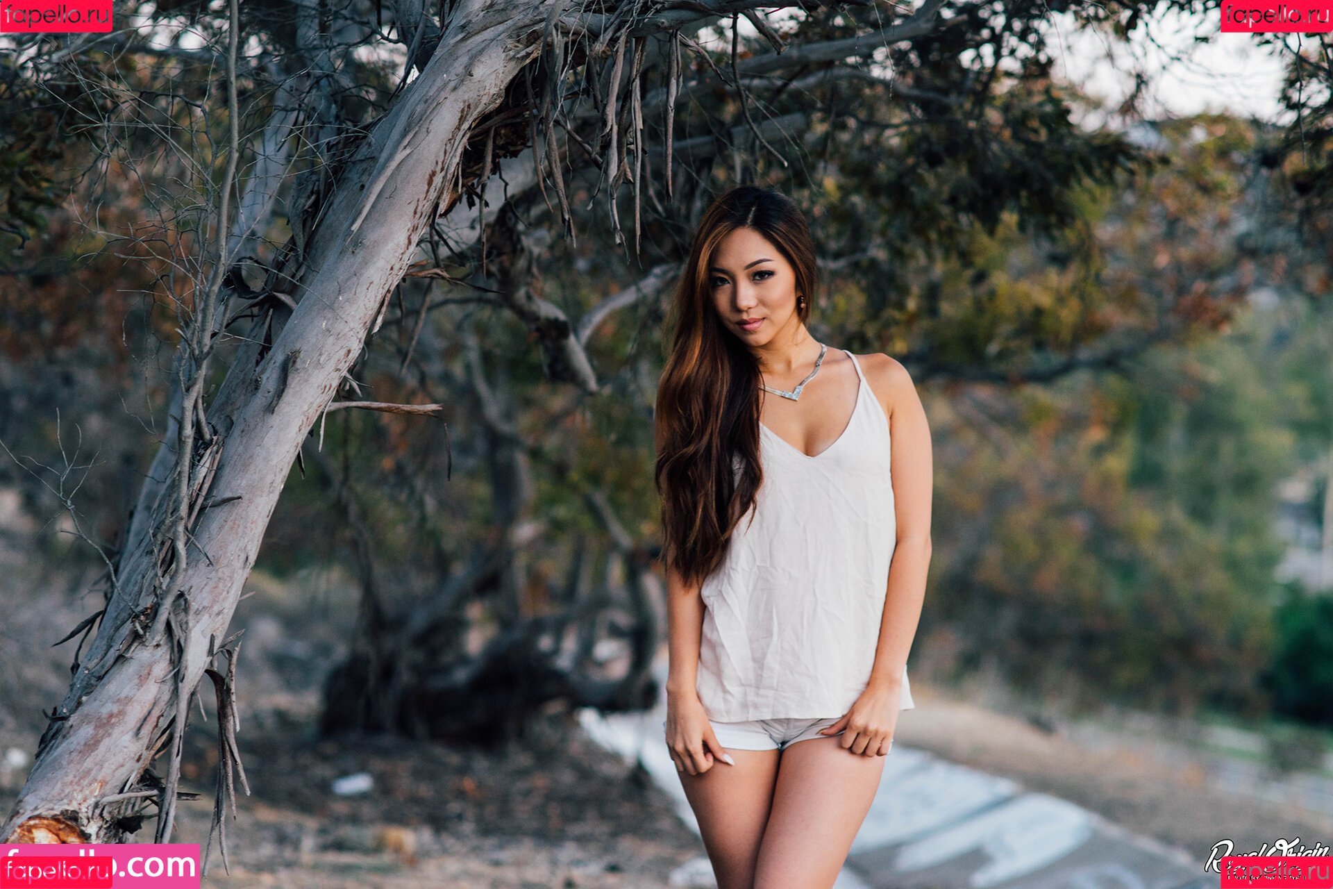 Sara Choi Onlyfans Photo Gallery 