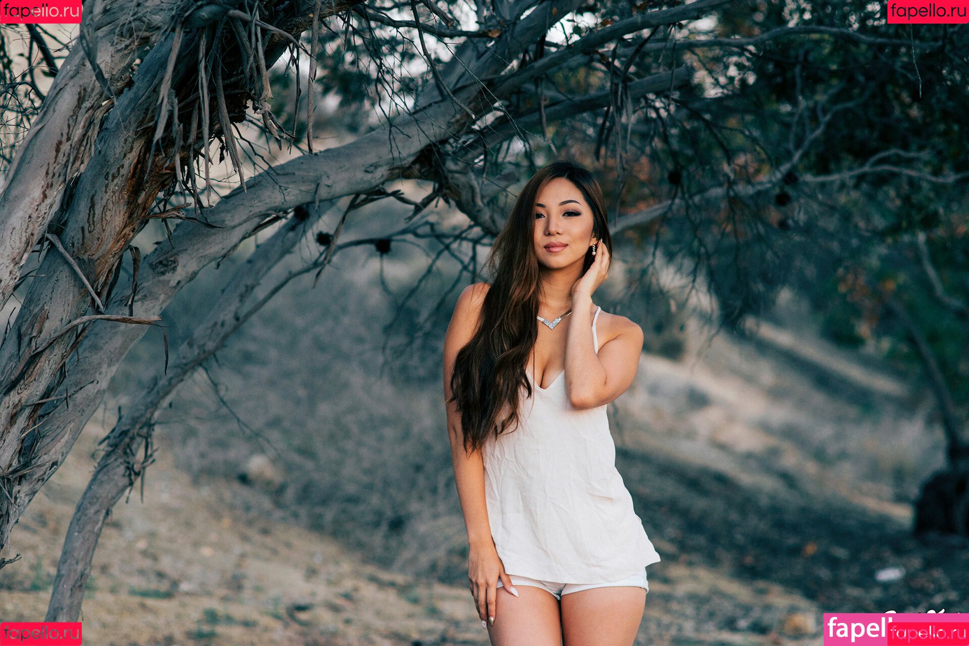 Sara Choi Onlyfans Photo Gallery 