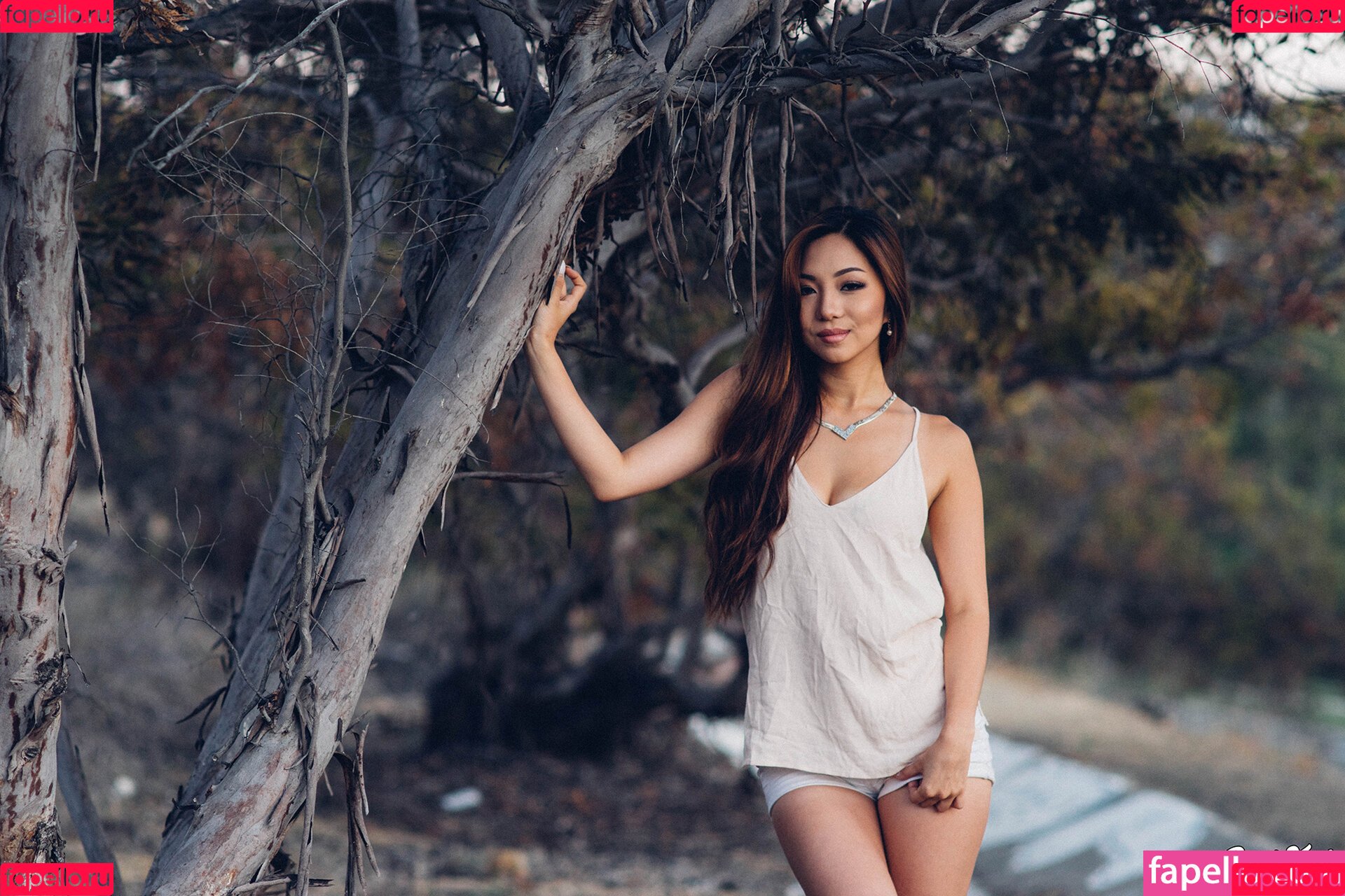 Sara Choi Onlyfans Photo Gallery 