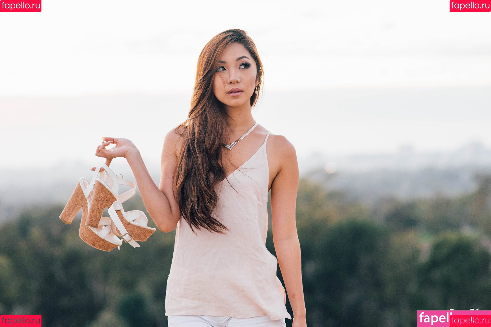 Sara Choi Onlyfans Photo Gallery 