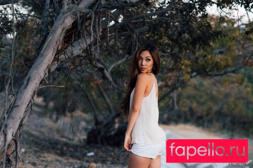 Sara Choi Nude Onlyfans Photo 46