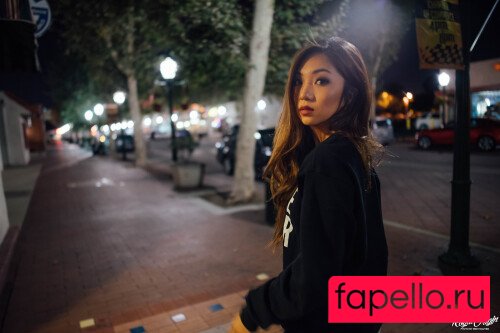 Sara Choi Nude Onlyfans Photo 41