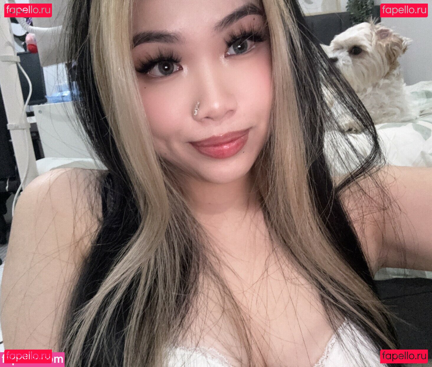 Kkimvu / kkimvu_ Onlyfans Photo Gallery 