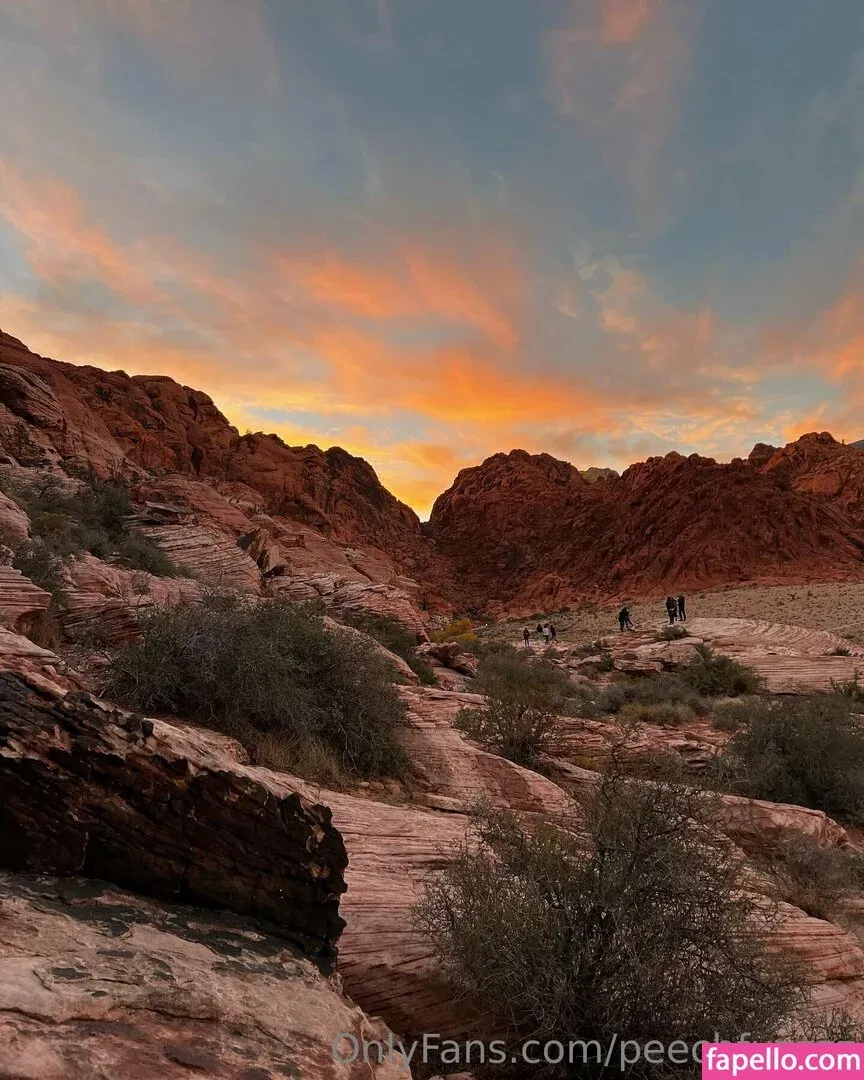 Peechfuzzzz Onlyfans Photo Gallery 