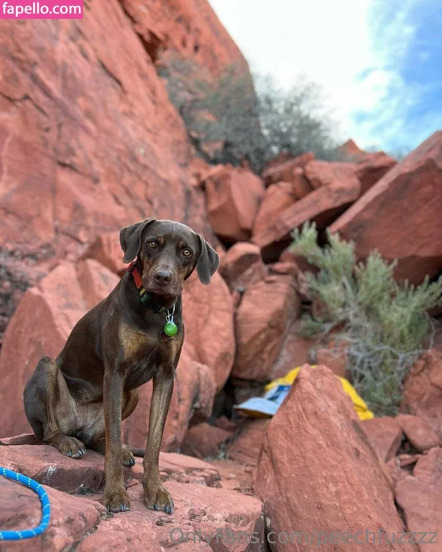 Peechfuzzzz Onlyfans Photo Gallery 