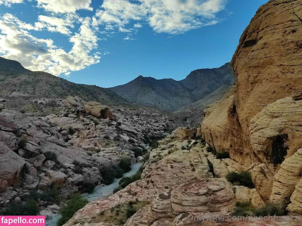 Peechfuzzzz Onlyfans Photo Gallery 