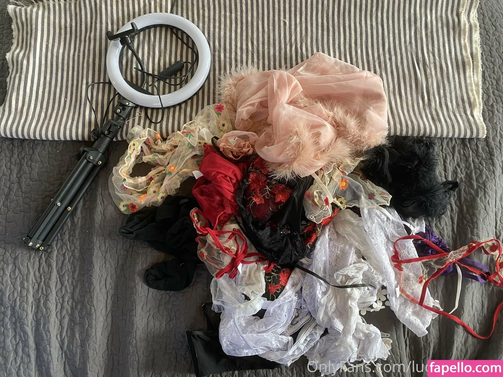 luckywithlola Onlyfans Photo Gallery 