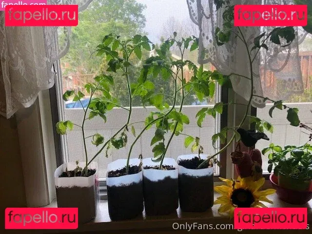 ginaraemichaels Onlyfans Photo Gallery 