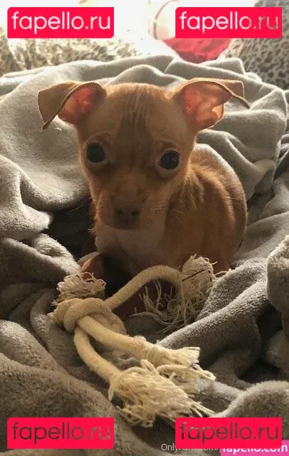 ginaraemichaels Onlyfans Photo Gallery 