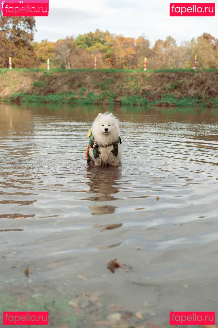 Okicospi Onlyfans Photo Gallery 