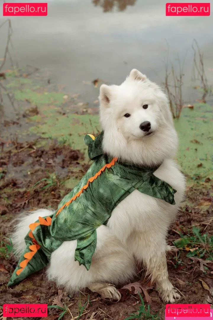 Okicospi Onlyfans Photo Gallery 