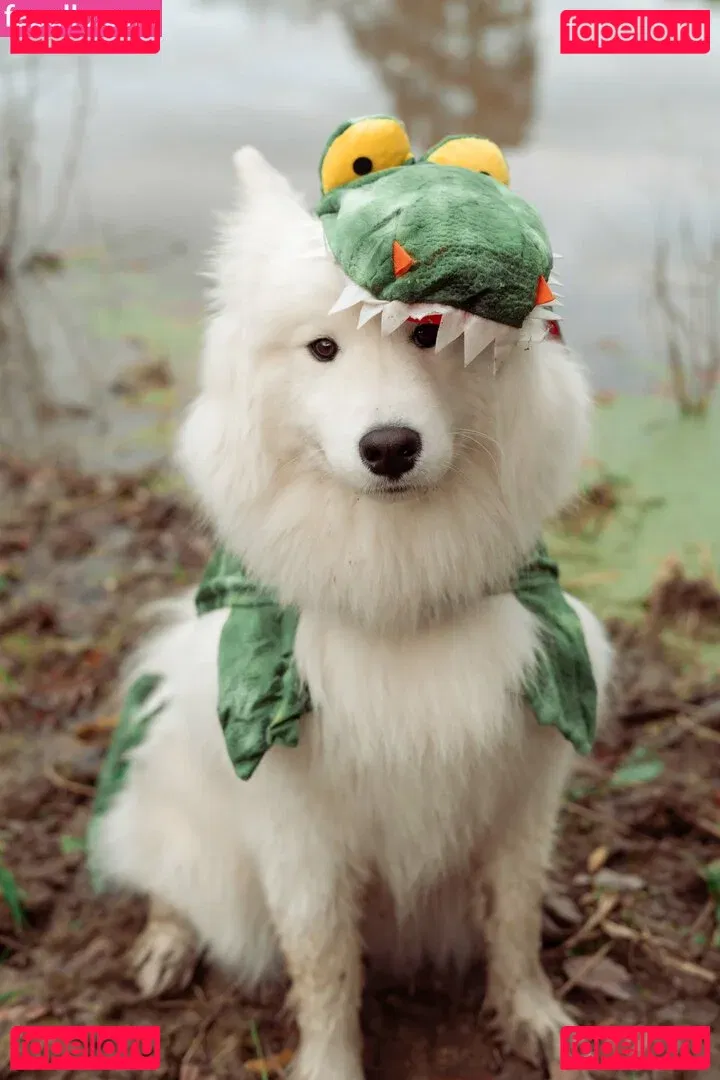 Okicospi Onlyfans Photo Gallery 