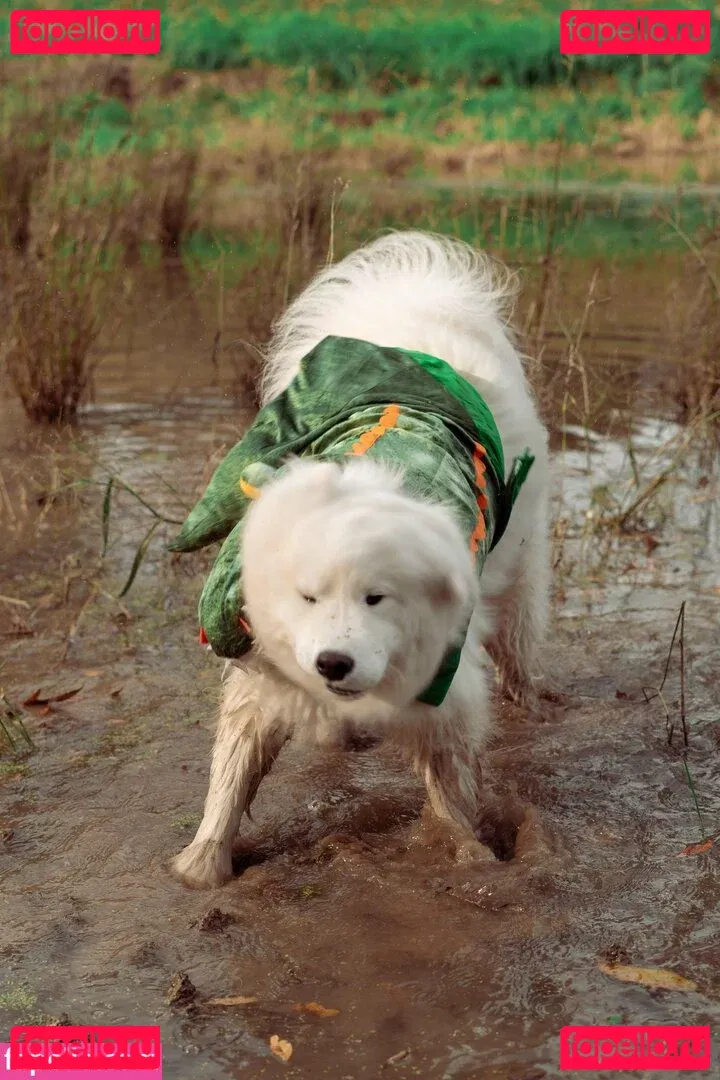 Okicospi Onlyfans Photo Gallery 