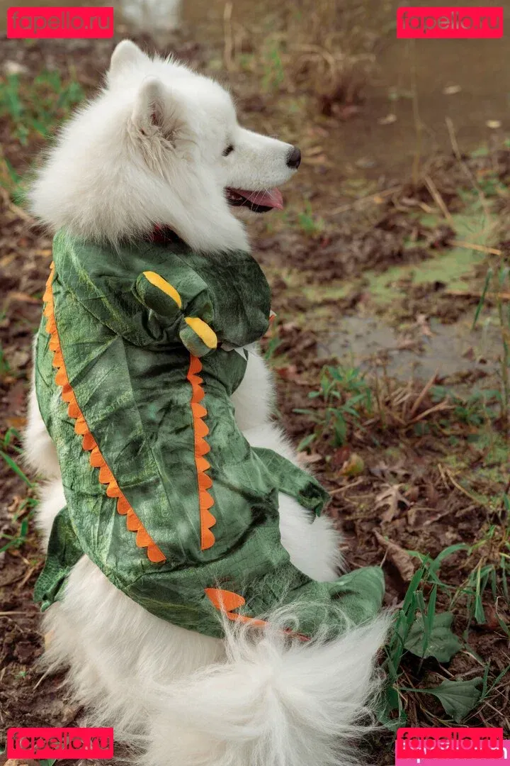 Okicospi Onlyfans Photo Gallery 