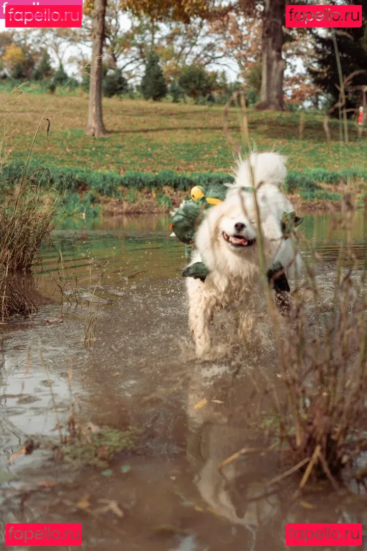 Okicospi Onlyfans Photo Gallery 