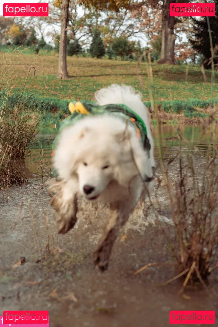 Okicospi Onlyfans Photo Gallery 