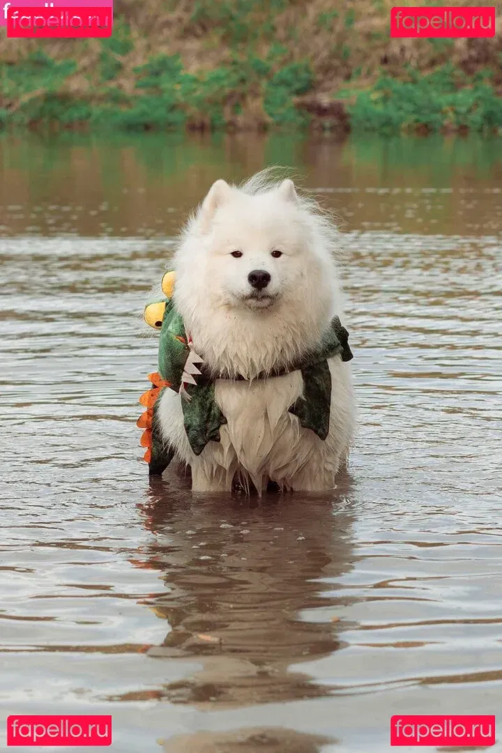 Okicospi Onlyfans Photo Gallery 