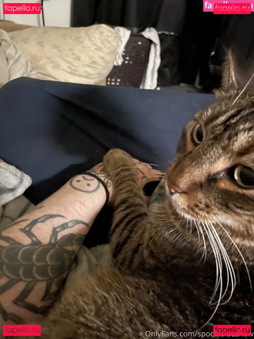 spookisideshow Onlyfans Photo Gallery 