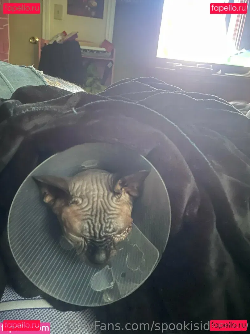 spookisideshow Onlyfans Photo Gallery 