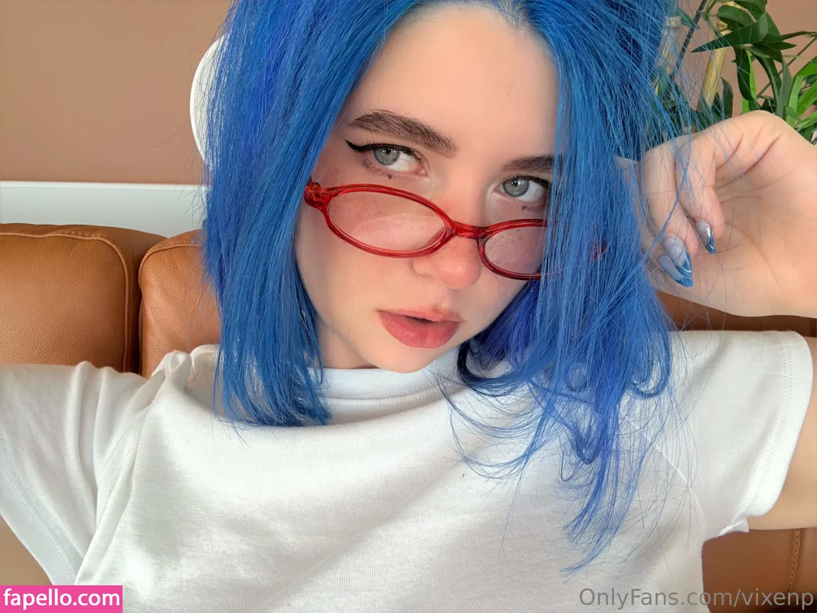 Vixenp Onlyfans Photo Gallery 