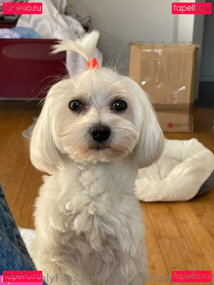 sweet_bloody_marry Onlyfans Photo Gallery 